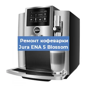 Чистка кофемашины Jura ENA 5 Blossom от кофейных масел в Москве